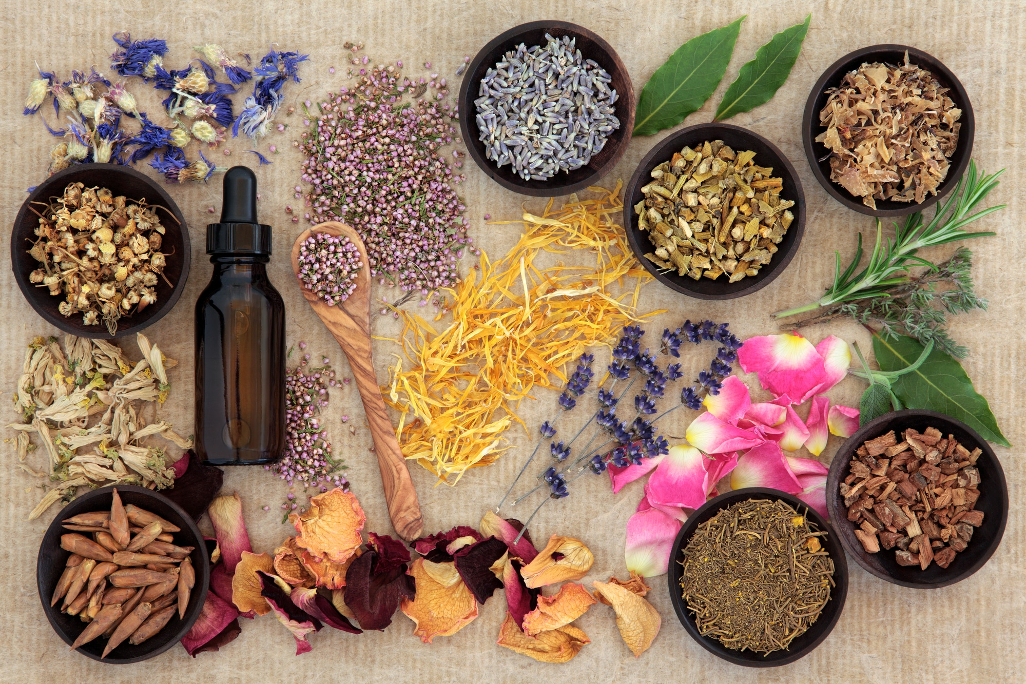 Naturopathy: Exploring the Benefits and Effectiveness of Natural Remedies